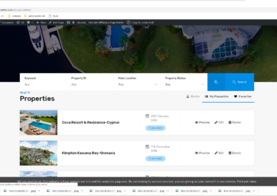overseas-my-properties - Copy